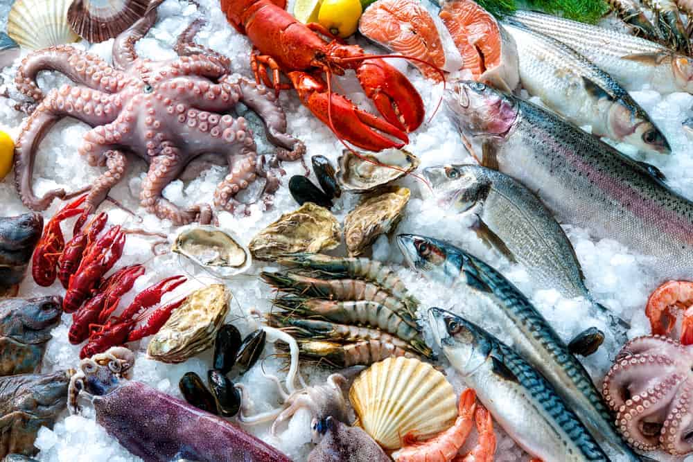 Why Is Seafood So Expensive