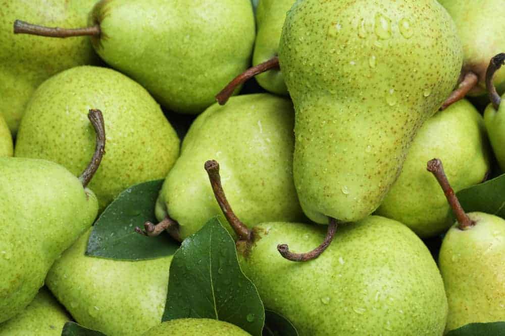 Why Are Pears So Expensive? (10 Reasons)